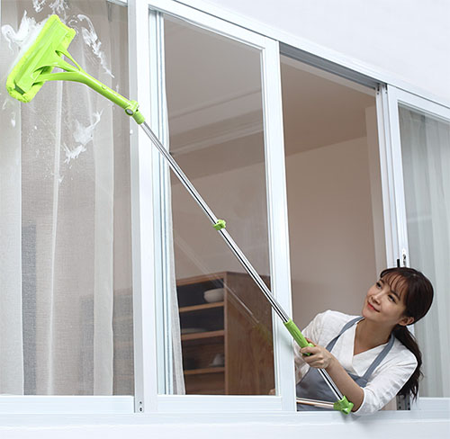 cay-lau-kinh-chuyen-dung-cho-can-ho-b0203