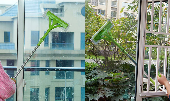 cay-lau-kinh-chuyen-dung-cho-can-ho-c0303