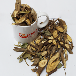 Cây An Xoa Rừng Bình Phước